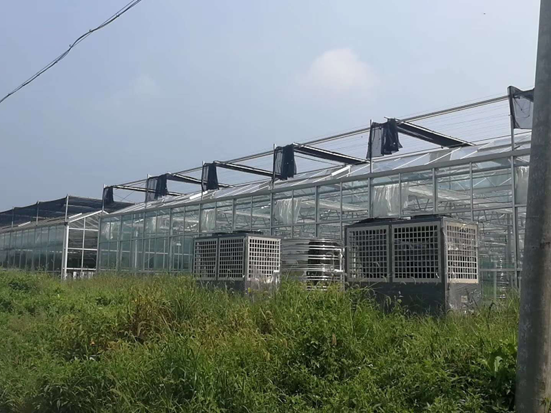 蝴蝶兰温室种植大棚采暖系统